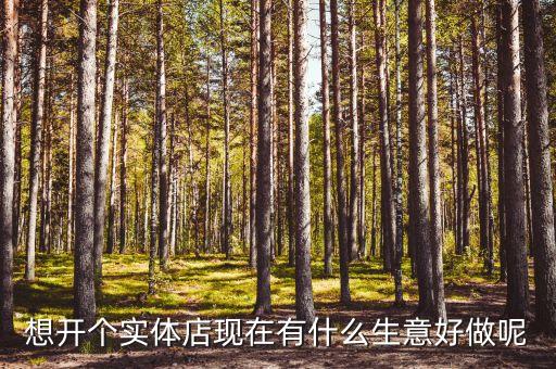想開個(gè)實(shí)體店現(xiàn)在有什么生意好做呢