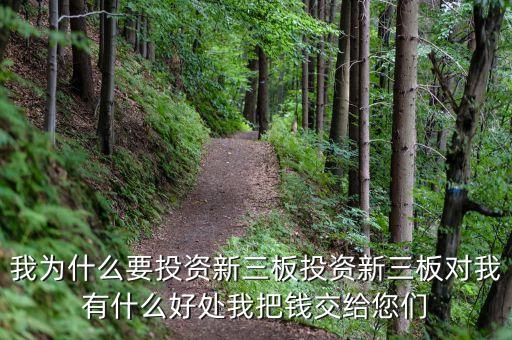 為什么投資新三板，我為什么要投資新三板投資新三板對我有什么好處我把錢交給您們