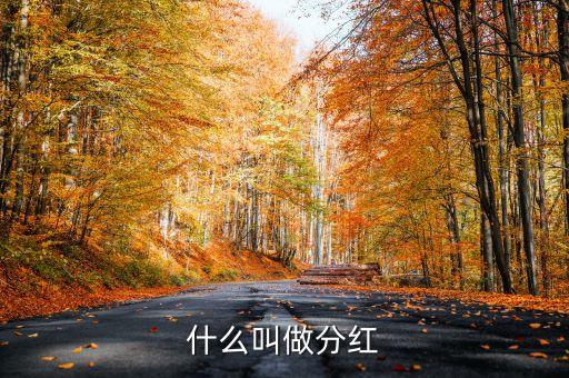 什么叫做分紅