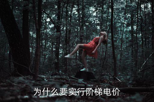 什么是電價(jià)交叉補(bǔ)貼，實(shí)施階梯電價(jià)合理嗎