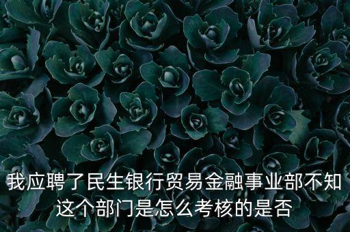 貿易金融部干什么的，我應聘了民生銀行貿易金融事業(yè)部不知這個部門是怎么考核的是否