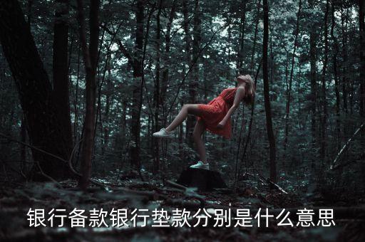 墊款是什么意思，還墊款是什么意思