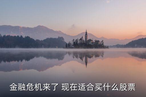 經(jīng)濟(jì)危機(jī)買什么股票，試舉例說明在金融危機(jī)下應(yīng)如何選擇股票投資