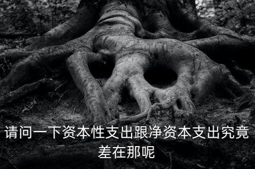 資本支出是什么，資本支出與費用的區(qū)別