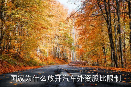國家為什么放開汽車外資股比限制