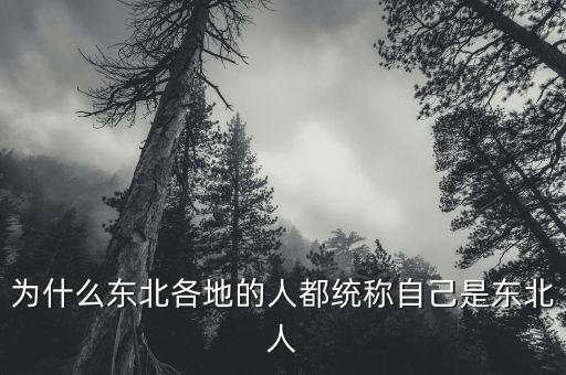 為什么只有東北稱東北，人們用什么來稱為中國東北這片土地