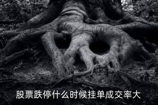 股票跌停什么時候掛單成交率大