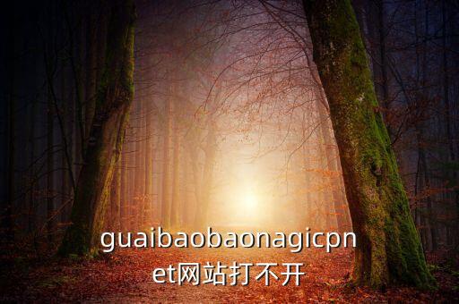 王思聰買了域名為什么不給萬達用，guaibaobaonagicpnet網(wǎng)站打不開