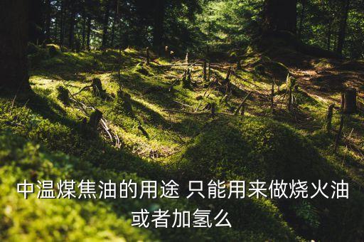 煤制油與煤焦油加氫有什么區(qū)別，焦油加氫改質 加氫裂解有什么區(qū)別