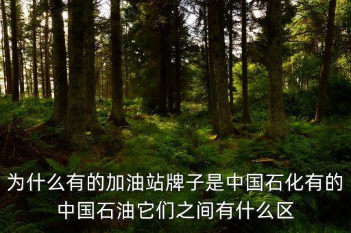 為什么中石化和中石油不，中石油中石化中海油為什么不合并