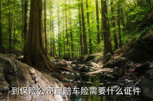 保險理賠去4S店需要什么證件，到保險公司理賠車險需要什么證件