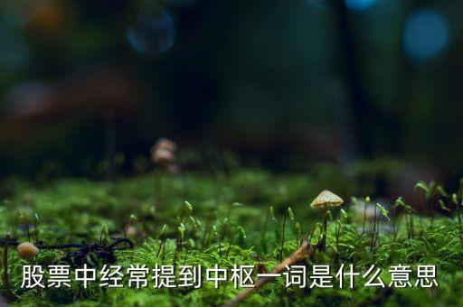 股票中樞是什么意思，股票中經(jīng)常提到中樞一詞是什么意思