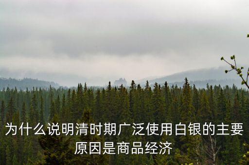為什么要白銀，宋代人們生活中主要使用白銀的原因