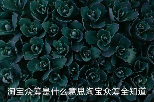 阿里眾籌什么意思，淘寶里面說(shuō)的眾湊是什么意思