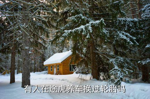 什么是途虎輪胎險，有人在途虎養(yǎng)車換過輪胎嗎