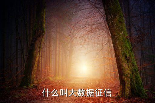 大數(shù)據(jù)征信模式是什么，11315是如何實現(xiàn)大數(shù)據(jù)征信的