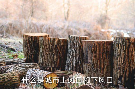 上風(fēng)口是什么意思，上風(fēng)口是什么意思