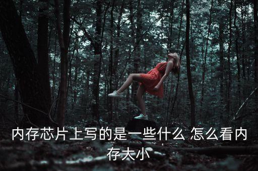 內存芯片上寫的是一些什么 怎么看內存大小