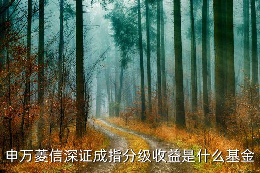 001493是什么基金，安碩富時(shí)中國(guó)25指數(shù)基金 是什么