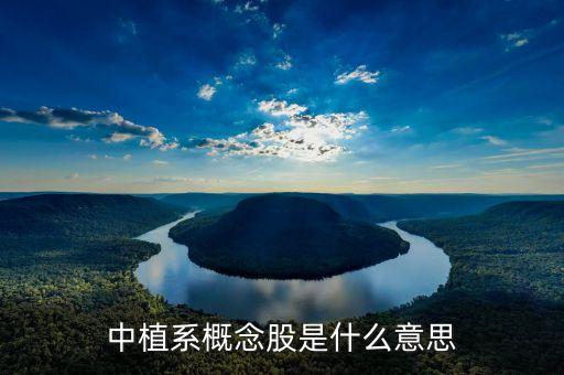 中植系是什么機(jī)構(gòu)，中植系概念股是什么意思
