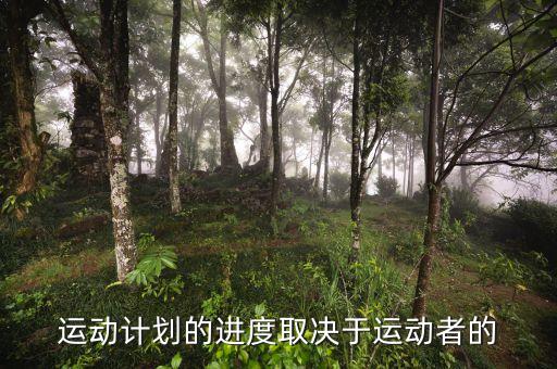 進(jìn)度安排的靈活性是什么決定，運動計劃的進(jìn)度取決于運動者的