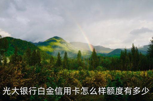 光大銀行白金卡有什么用，光大銀行白金信用卡怎么樣額度有多少