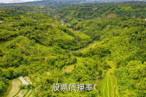 什么叫質(zhì)押折率，股票質(zhì)押折扣率是什么意思