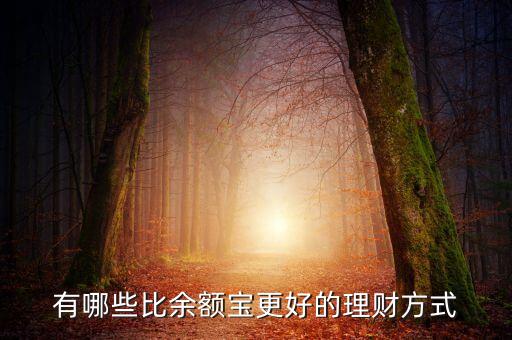 什么理財，有哪些比余額寶更好的理財方式