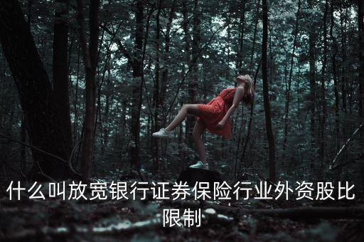 股比放開(kāi)是什么意思，什么是股比