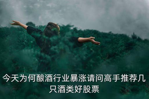 今天為何釀酒行業(yè)暴漲請(qǐng)問(wèn)高手推薦幾只酒類(lèi)好股票