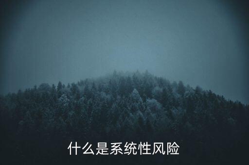 什么是系統(tǒng)性區(qū)域性風(fēng)險(xiǎn)，什么是系統(tǒng)性風(fēng)險(xiǎn)與區(qū)域性風(fēng)險(xiǎn)