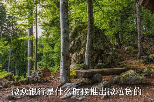 微眾銀行是什么時(shí)候推出微粒貸的