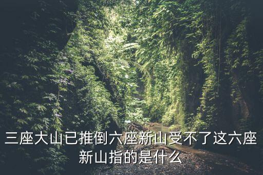 新三座大山反映了什么，新三座大山指的是什么
