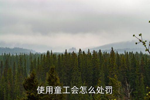 勞動法中用童工有什么懲罰，使用童工會怎么處罰