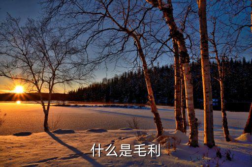什么是產(chǎn)品毛利，什么是毛利怎么計算
