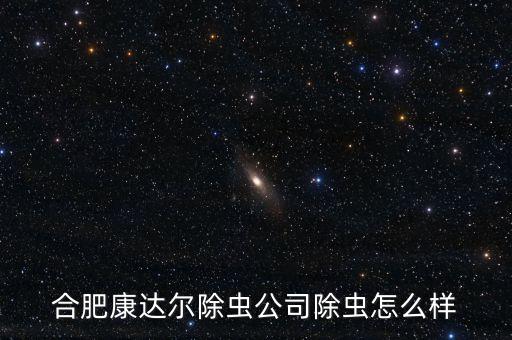康達(dá)爾是什么公司，合肥康達(dá)爾除蟲(chóng)公司除蟲(chóng)怎么樣