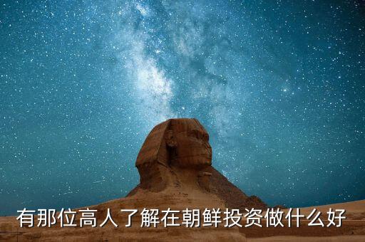 有那位高人了解在朝鮮投資做什么好