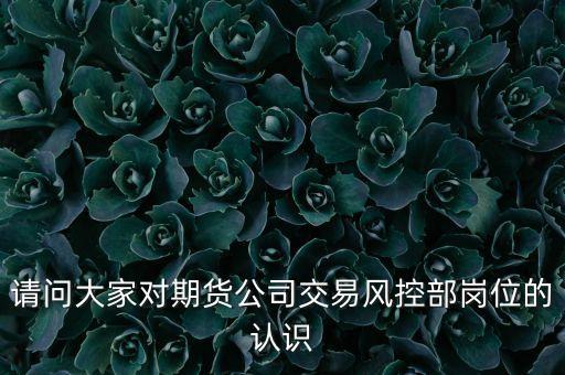 請問大家對期貨公司交易風(fēng)控部崗位的認(rèn)識