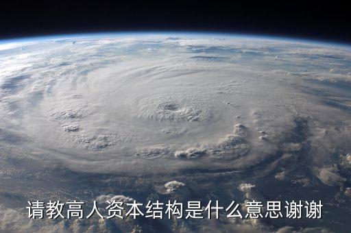 請教高人資本結(jié)構是什么意思謝謝