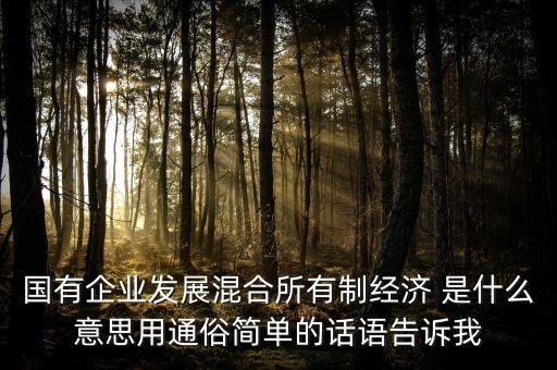 混合制改革什么意思，混合所有制改革的介紹