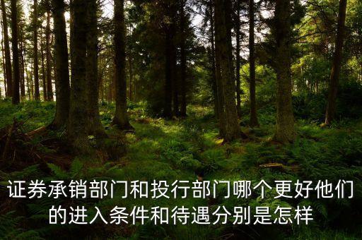 證券承銷(xiāo)部門(mén)和投行部門(mén)哪個(gè)更好他們的進(jìn)入條件和待遇分別是怎樣
