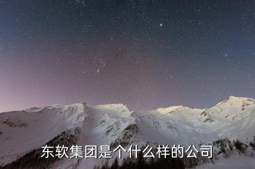 東軟集團(tuán)是個什么樣的公司