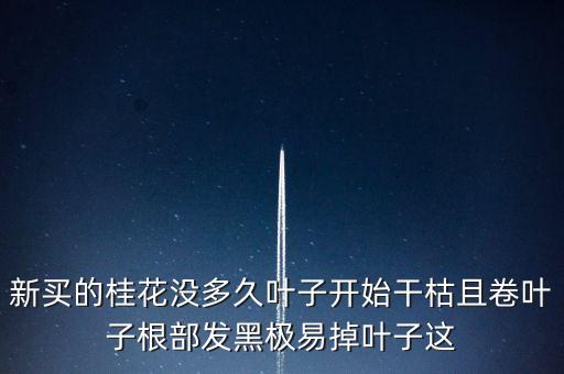 桂花樹過剩什么時候能緩解，盆栽的桂花為什么老掉葉子