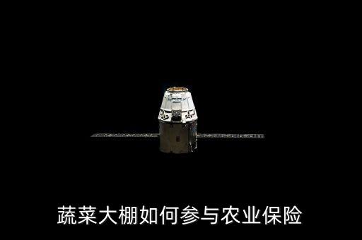 種大棚買保險(xiǎn)陪什么，蔬菜大棚入保險(xiǎn)請問入哪一類保險(xiǎn)