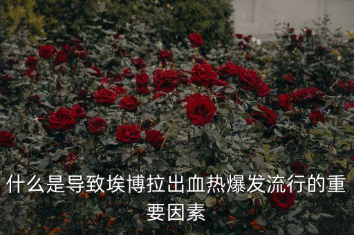 為什么埃博拉爆發(fā)，艾播拉病毒爆發(fā)在南非的原因之一是當(dāng)?shù)貧夂?/></a></span><span id=