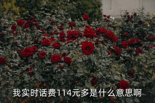 114元和24元什么意思，電費(fèi)每月1KVA24元是什么意思