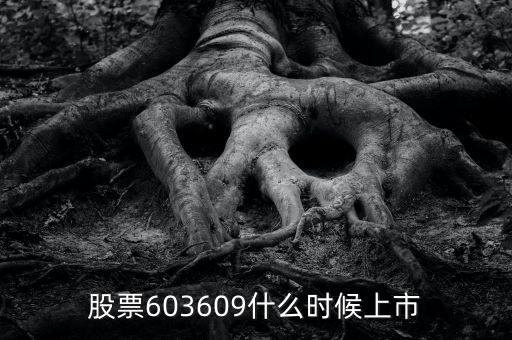 股票603609什么時(shí)候上市