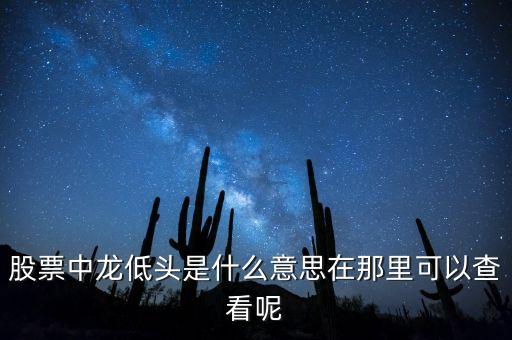 中龍是什么股票，帶龍字的股票有哪些
