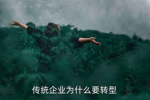 中小企業(yè)為什么轉(zhuǎn)型，中小企業(yè)轉(zhuǎn)型問(wèn)題具體是什么問(wèn)題