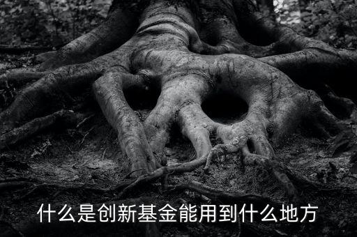 什么是創(chuàng)新型基金，什么是創(chuàng)新型基金 創(chuàng)新型基金有哪些